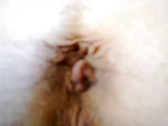 Huge mawɗo ɓooyɗo horny pucci mawɗi.