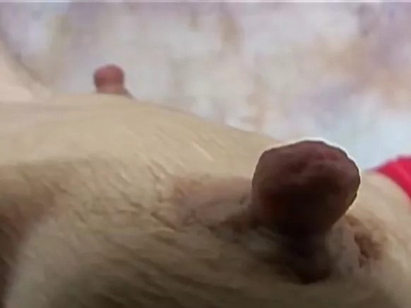 Tits saggy tokoosi, ɓuuɓri mawndi saggy mawni 4.